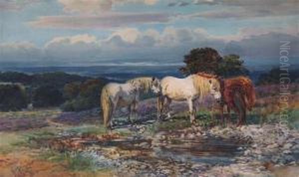Ponies In The New Forest - view 1