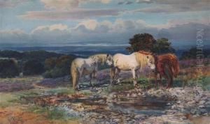 Ponies In The New Forest by Augustus Charles Wyatt