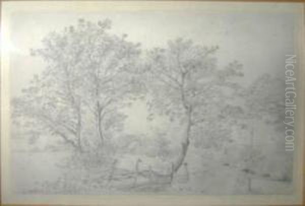 Study Of Trees And Cottage Beyond - view 1