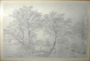 Study Of Trees And Cottage Beyond