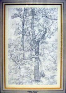 'sketch Of A Tree', Pencil, 11cm X 17cm, Framed by Henry Wyatt
