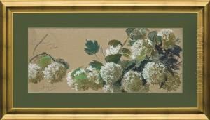 Decorative Frieze - Blooming Viburnum Decorative Frieze - Blooming Viburnum