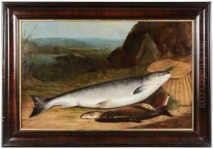 Nature Mort by Arnoud Wydeveld