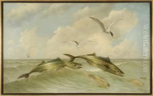 Seascape With Spanish Mackerel And Sea Gulls by Arnoud Wydeveld