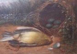 Still Life With Bird And Nest by Arnoud Wydeveld