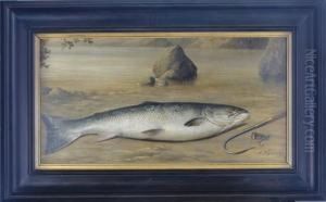 Rainbow Trout With Hook And Line by Arnoud Wydeveld