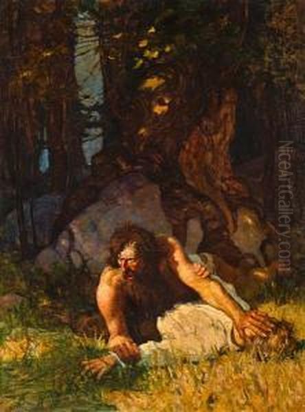 The Wild Man Of Tabor Island - view 1