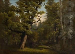 Cerf Et Biche Dans Uneclairiere by Karl Christian Wymann-Mory