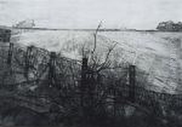 Burnt Tree - view 1