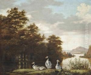 A Wooded River Landscape With Greylag Geese On A Bank A Wooded River Landscape With Greylag Geese On A Bank