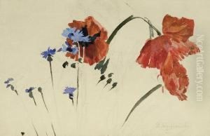 Poppies And Cornflowers by Stanislaw Wyspianski