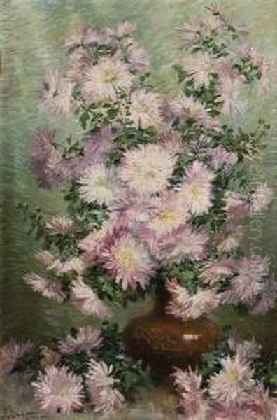 Chrysanthemes - view 1