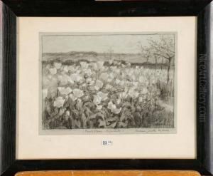 Pavots Blancs Au Crepuscule by Juliette Wytsman