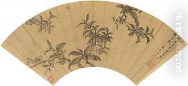 Osmanthus - view 1