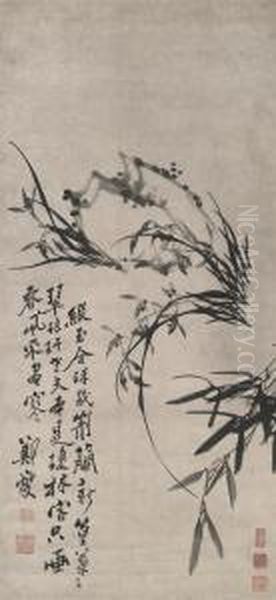 Orchid And Bamboo - view 1