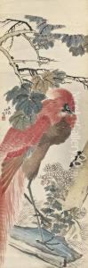Phoenix by Ren Xun
