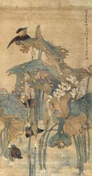 Mandar Duck In Lotus Pond. - view 1