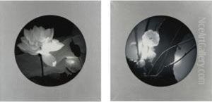 Ripple: Lotus No. 3 And Passing Of Spring: Plum Blossom No. 2 by Xu Yang