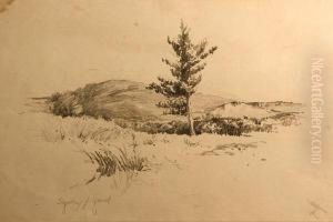 Tree With Rolling Hills Beyond by Sydney Jones Yard