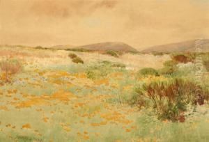 California Landscape With Poppies And Lupine by Sydney Jones Yard