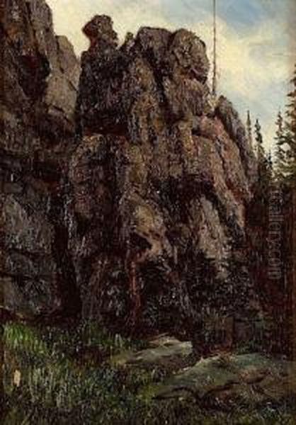 Rochers Et Sapins - view 1