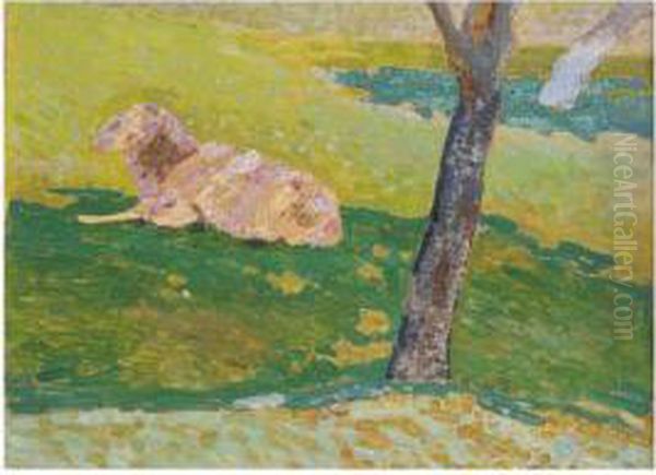 Sheep In Sunlight - view 1