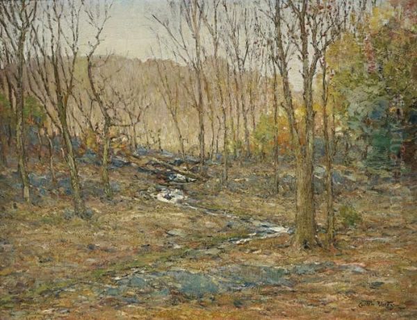 Pennsylvania Woods - view 1