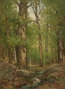 Forest Interior by Cullen Yates