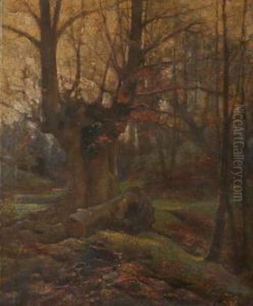 Late Autumn Landscape - view 1