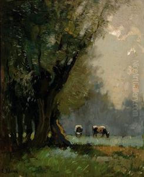 Cows Grazing Near A Forest - view 1