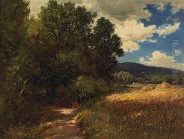 A Wooded Path With Passing Clouds - view 1