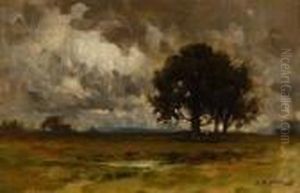 Oak Tree In A Landscape