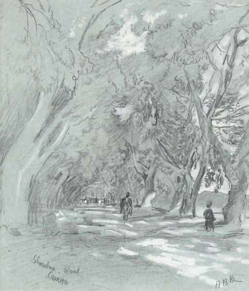 Showbra Road, Cairo - view 1