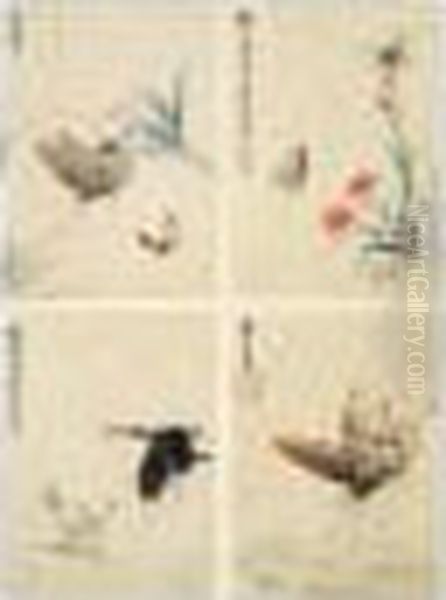 Flower And Butterfly - view 1