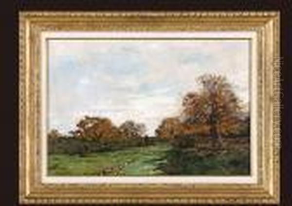 Landscape - view 1