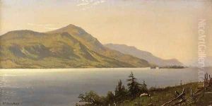 Tontue Mountain, Lake George (or Tongue Mountain, Lake George) by Alfred Thompson Bricher