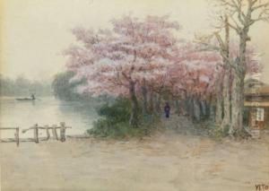 River Landscape With Cherry Blossom