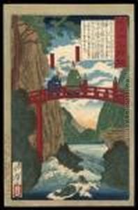 Tokugawa Iemitsu by Tsukioka Yoshitoshi