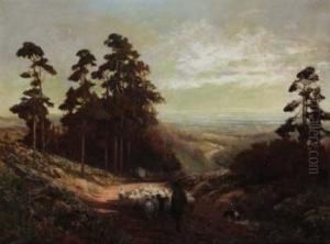 Near Leith Hill Surrey by Alexander Young
