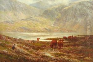 Highland Cattle By Loch Argyll
