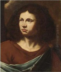 Man, Head And Shoulders, Wearing A Red Shirt With A Blue Cloak