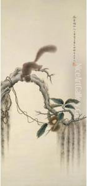 Tree Squirrel - view 1