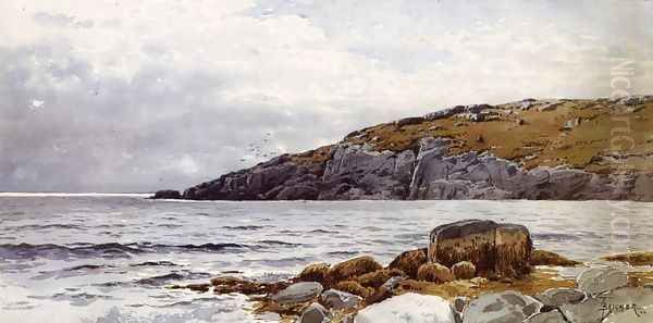 Rocky Coastline - view 1