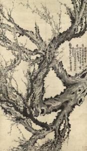 Plum Blossoms