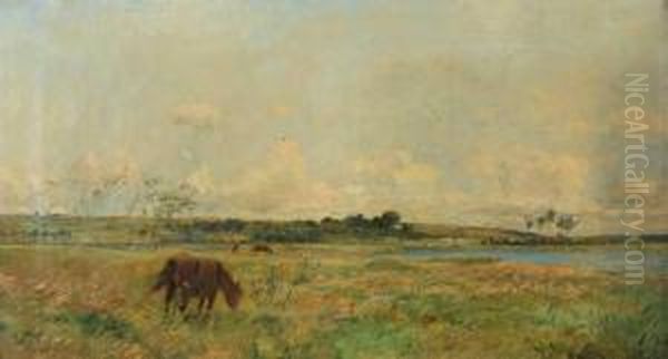 Cheval Au Paturage A Longpres - view 1