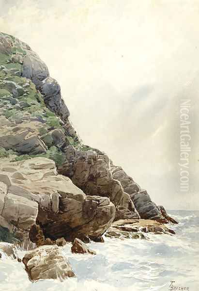 Surf and Cliffs, Conanicut, R.I. - view 1