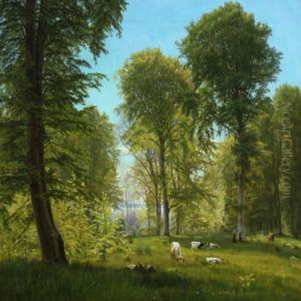 In The Forest At Summertime - view 1