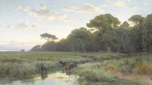 Wasserbuffel In Der Romischen Campagna - view 1
