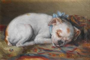 Bob Sleeping by Marie Zajaczkowska