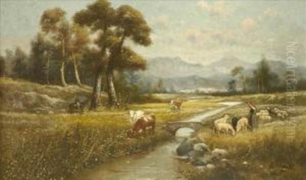 Summer Landscapes - view 1
